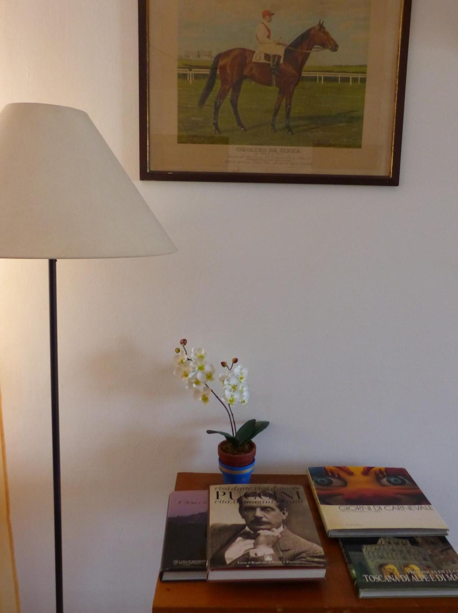 La Casa Di Silvia Leilighet Massarosa Eksteriør bilde